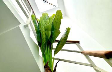 Apartamentos Brisas del Poniente - Photo 58