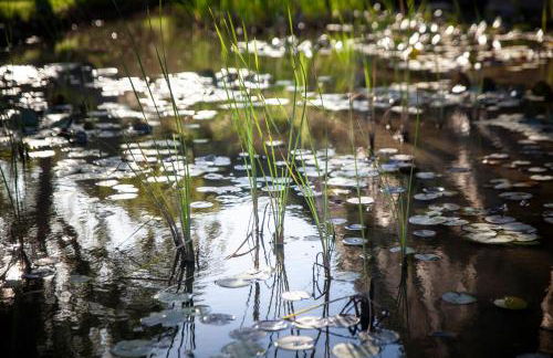 Love Garden - Foto 109