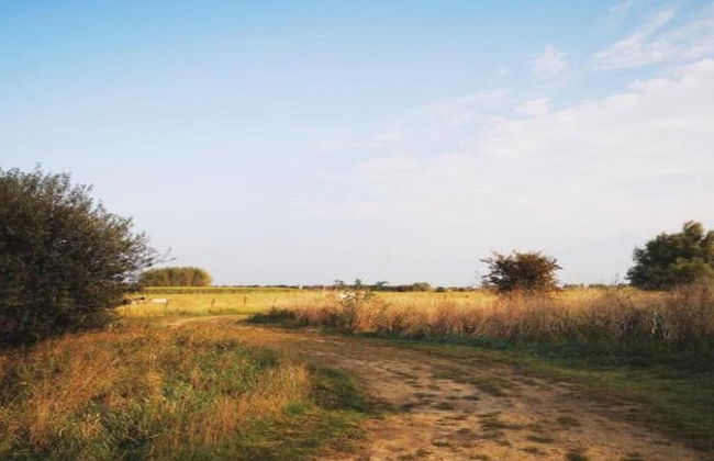 Cozy Boat in Merkem Near Lake - Foto 39