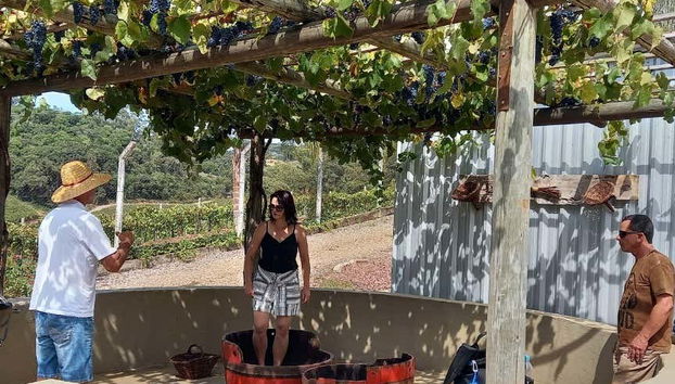 Ascoltando le spiegazioni della guida