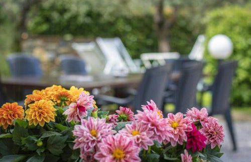 Historic Apartment With Swimming Pool Near Lucca - Foto 37