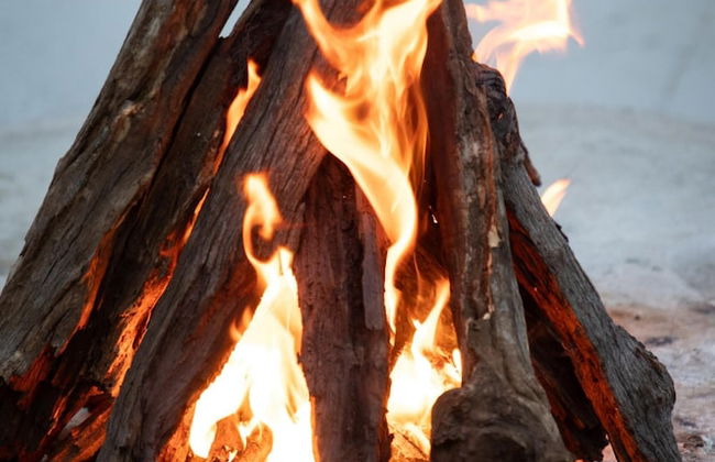 Villa Thornybush Light and Elegantly Designed Villa - Photo 19