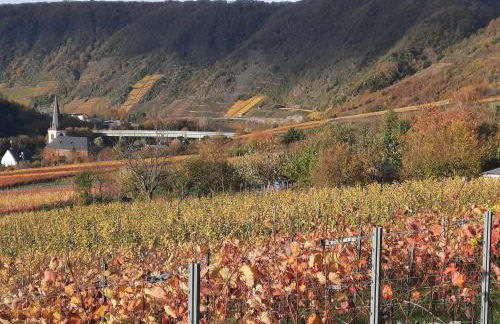 Ferienwohnung Götz - Foto 14