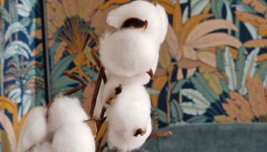 Le Cottage - Photo 3