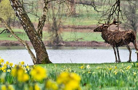 Stylish Open Plan Guest House 400sq ft Rutland - Photo 41