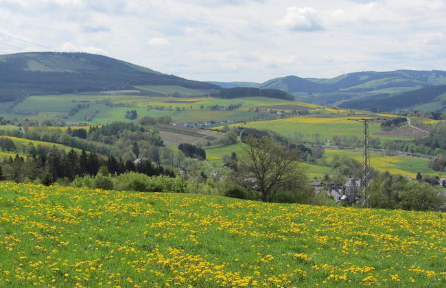 Garden-view Villa in Medebach Kustelberg - Foto 33