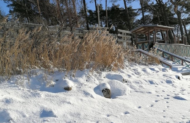 Alluring Holiday Home in Pepelow near Sea Beach & Water Sports - Foto 37