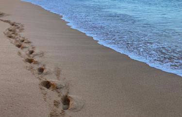 Casa Oliveira - Algarve - Foto 35