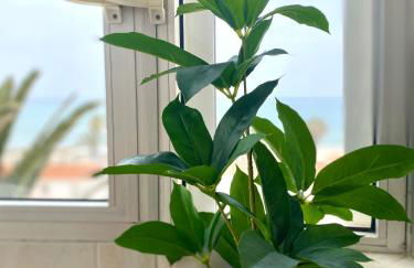 Apartamento Luz del Mar - Foto 11