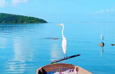 Cantinho da Lagoa - Iguaba Grande - Foto 18