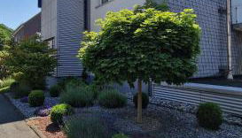 Ferienwohnung in Wilnsdorf OT Wilden neu erstellt & hochwertig - Foto 4