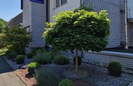 Ferienwohnung in Wilnsdorf OT Wilden neu erstellt & hochwertig - Foto 4