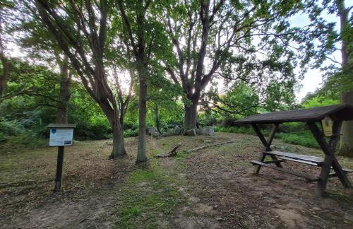 Ostsee Ferienhaus Usedom hundefreundlich Familie Stopp Haus 22 - Foto 20