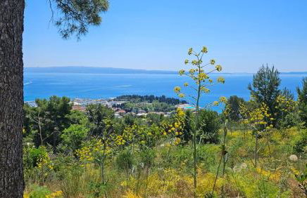 Two rooms apartment Spalatina - Foto 65