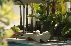 Marbella Bliss - Serenity 4-Bedroom VILLA with Exclisive HEATED Private POOL & Jacuzzi, Tropical Garden, Marbesa - Steps from the Cabopino Beach - Photo 16