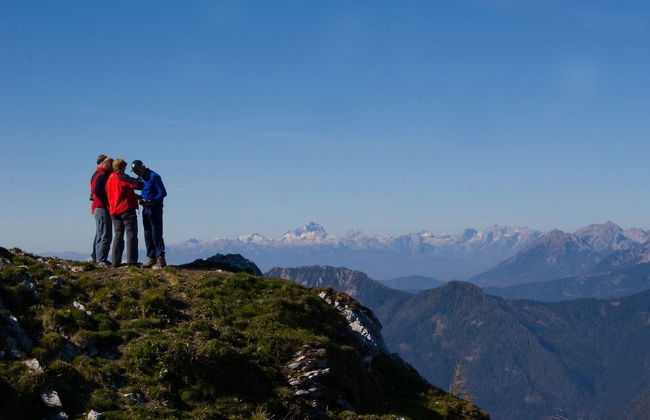 Ferienpark Scheiber - Foto 63