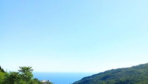 Stone and Serenity Cottage - Foto 5