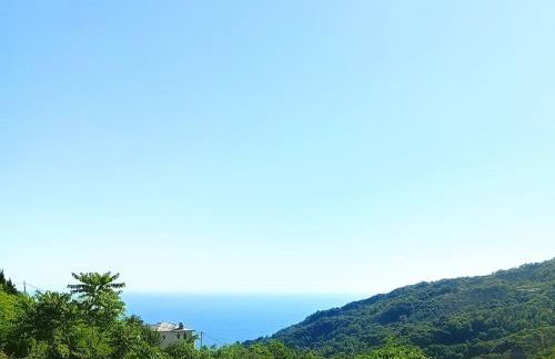 Stone and Serenity Cottage - Foto 5