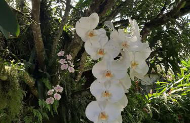 Casa Pomar do Aconchego - Foto 6