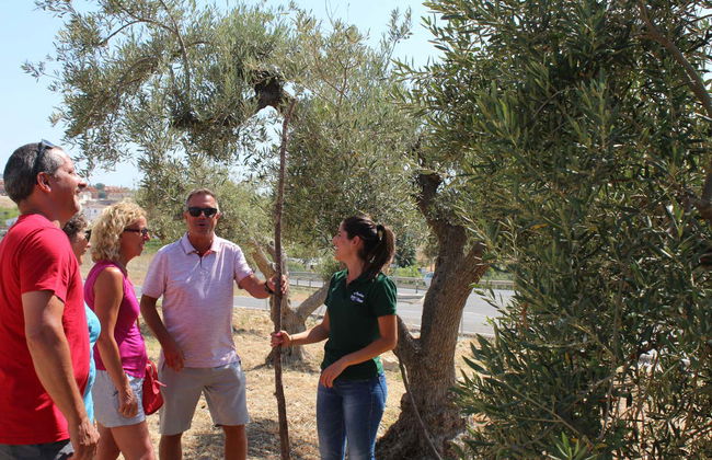Visita a la fábrica y museo de Aceites Molisur con cata - Foto 3