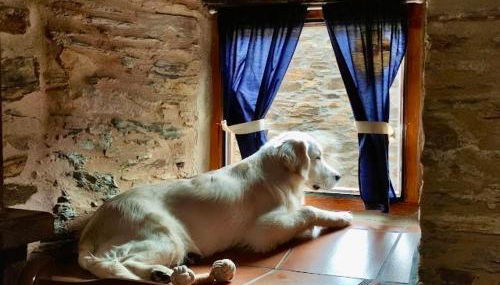 CASA RURAL BIERZO ENCANTADO - Foto 5