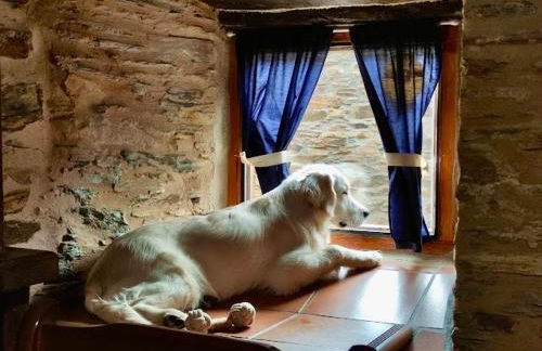 CASA RURAL BIERZO ENCANTADO - Foto 5