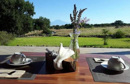 Tenuta Soria Location immersa nel verde con piscina privata - Photo 6