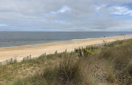 Beach Front on the Bay on the Dunes bungalow - Photo 24
