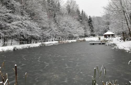 Leśniczówka domek balia sauna jeziorka w lesie na wyłączność - Foto 23