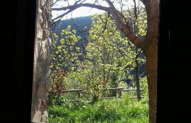 Albergue Casa Fumenal - Foto 49