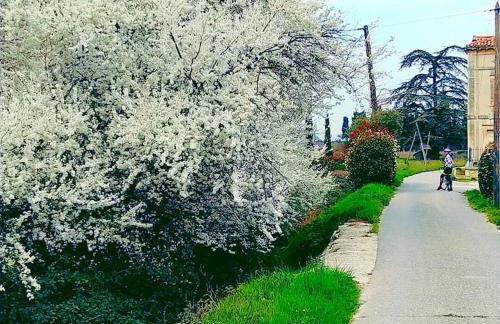 La perle de Gordes - Photo 71