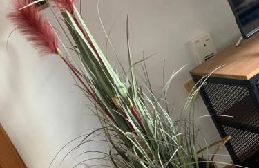 Appartement résidence Casablanca II - Foto 35