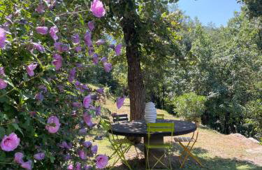 Adorable gîte - Le figuier - Foto 6
