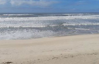 Chale dos Sobreiros - Foto 7