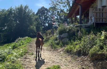 San Bartolomé Etxola - Foto 22