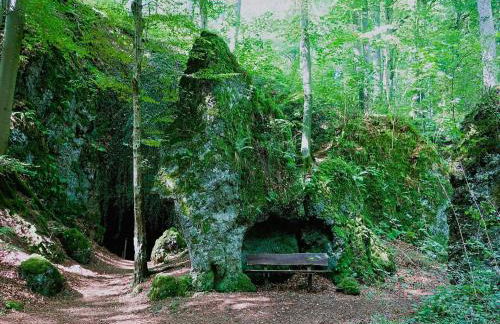 Romantic apartment with garden - Foto 27