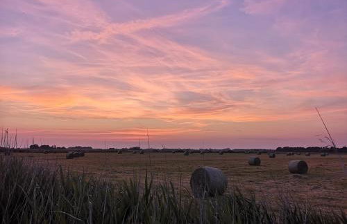 Ferienwohnung Sort Sol Grellsbülldeich 7 - Foto 50
