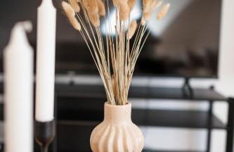 bei Dresden - N8quartier - Foto 37