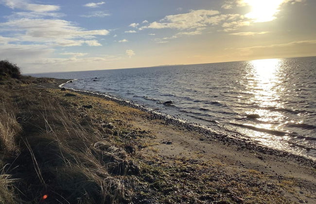 6 Person Holiday Home in Veslos - Photo 22