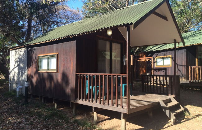 Coral Divers - Foto 4