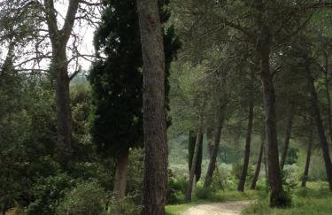 Cabane de la leque - Foto 32