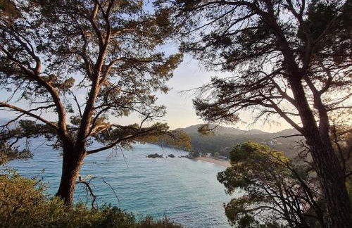 Apartment with garden and sea view Santa Cristina Blanes - Foto 74