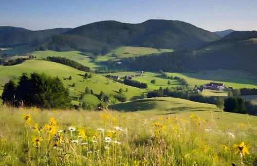 Haus Rosenfelder Fewo Abendsonne - Foto 25