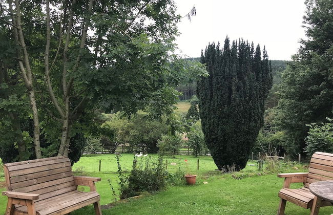 Byrness House - Photo 13