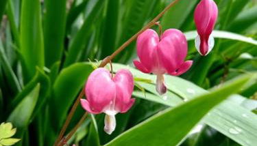 La Poste Saulgond - Foto 2