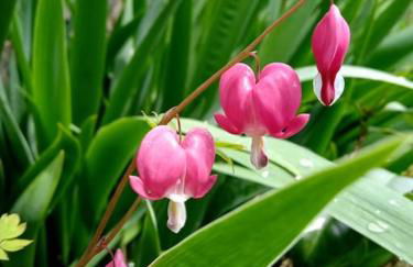 La Poste Saulgond - Foto 2