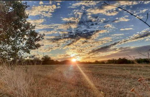 Cortijo Bablou - Foto 45