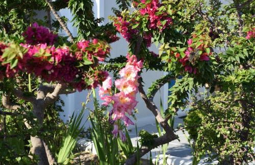 Wisteria Apartments - Foto 58