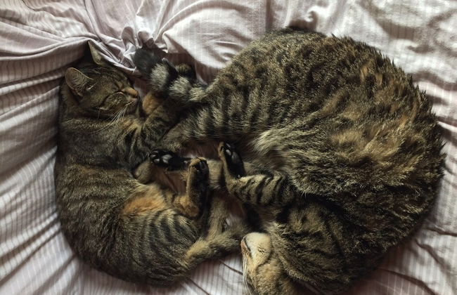 Kaiserhaus Harald Astner Ebbs Studio 1 - Foto 6