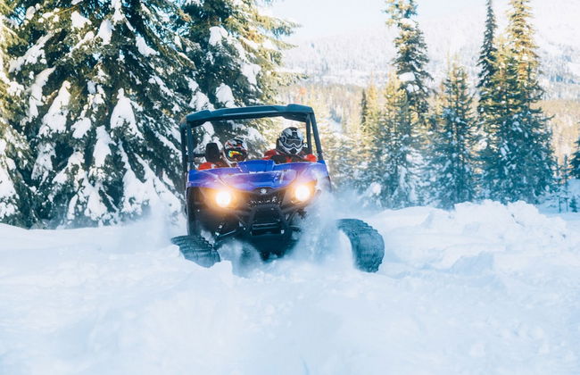 Stonegate Resort - Photo 40